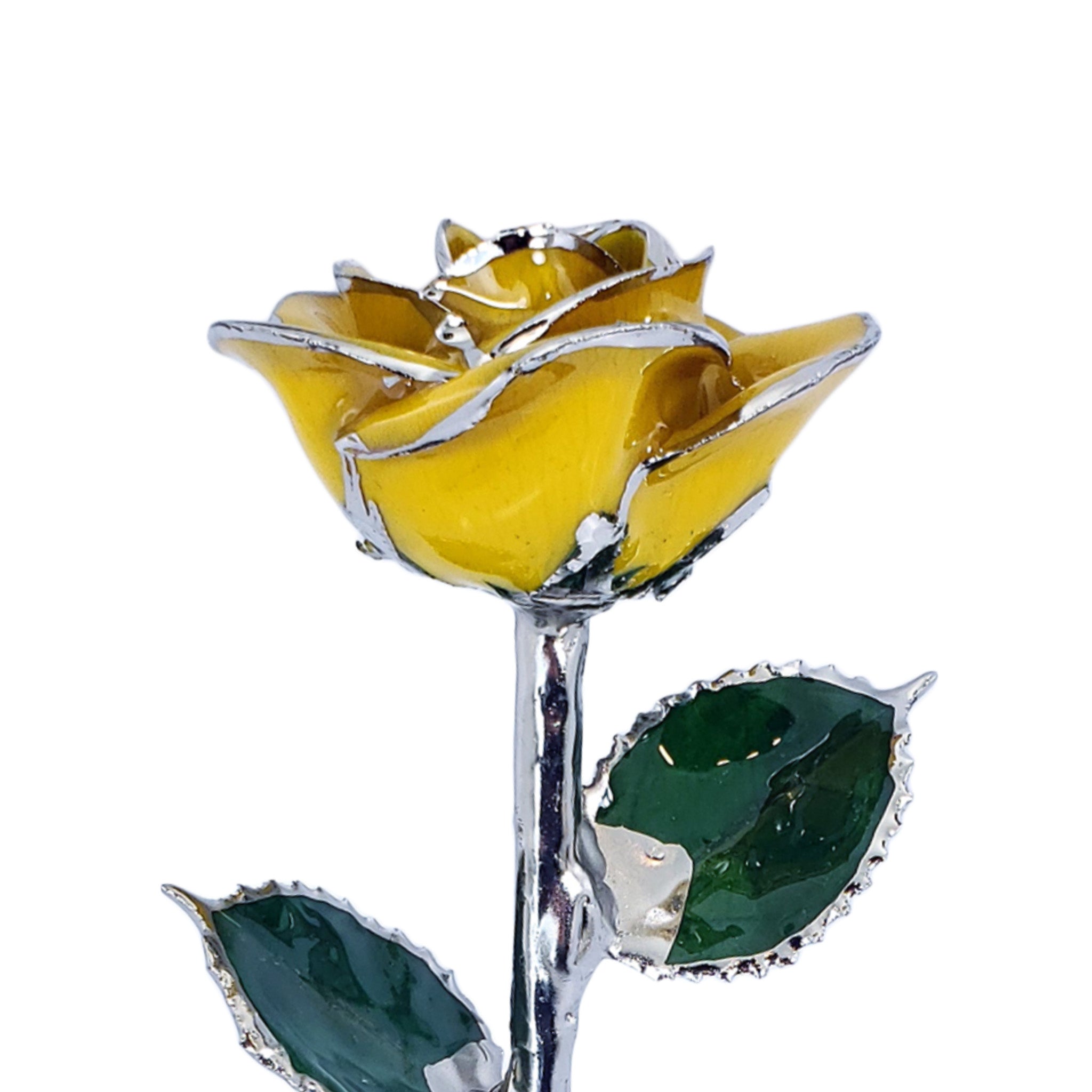 Platinum Forever Rose - Yellow