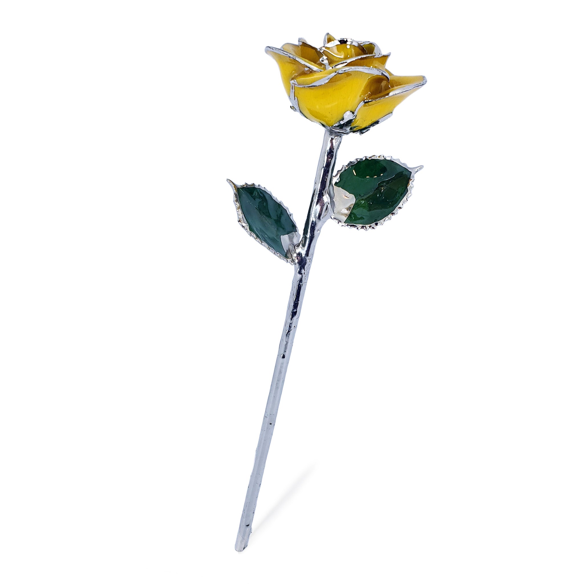 Platinum Forever Rose - Yellow - The Forever Rose