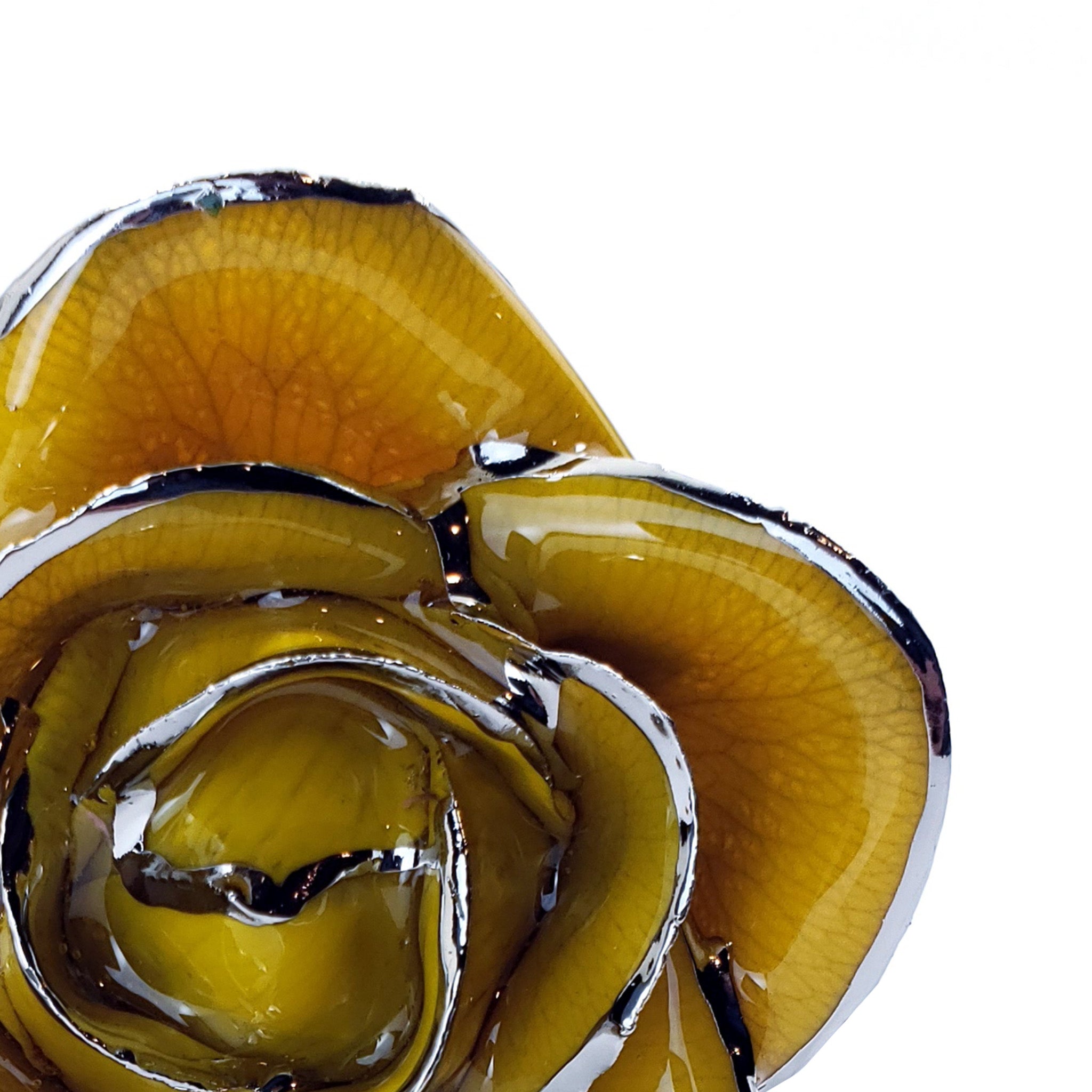 Platinum Forever Rose - Yellow