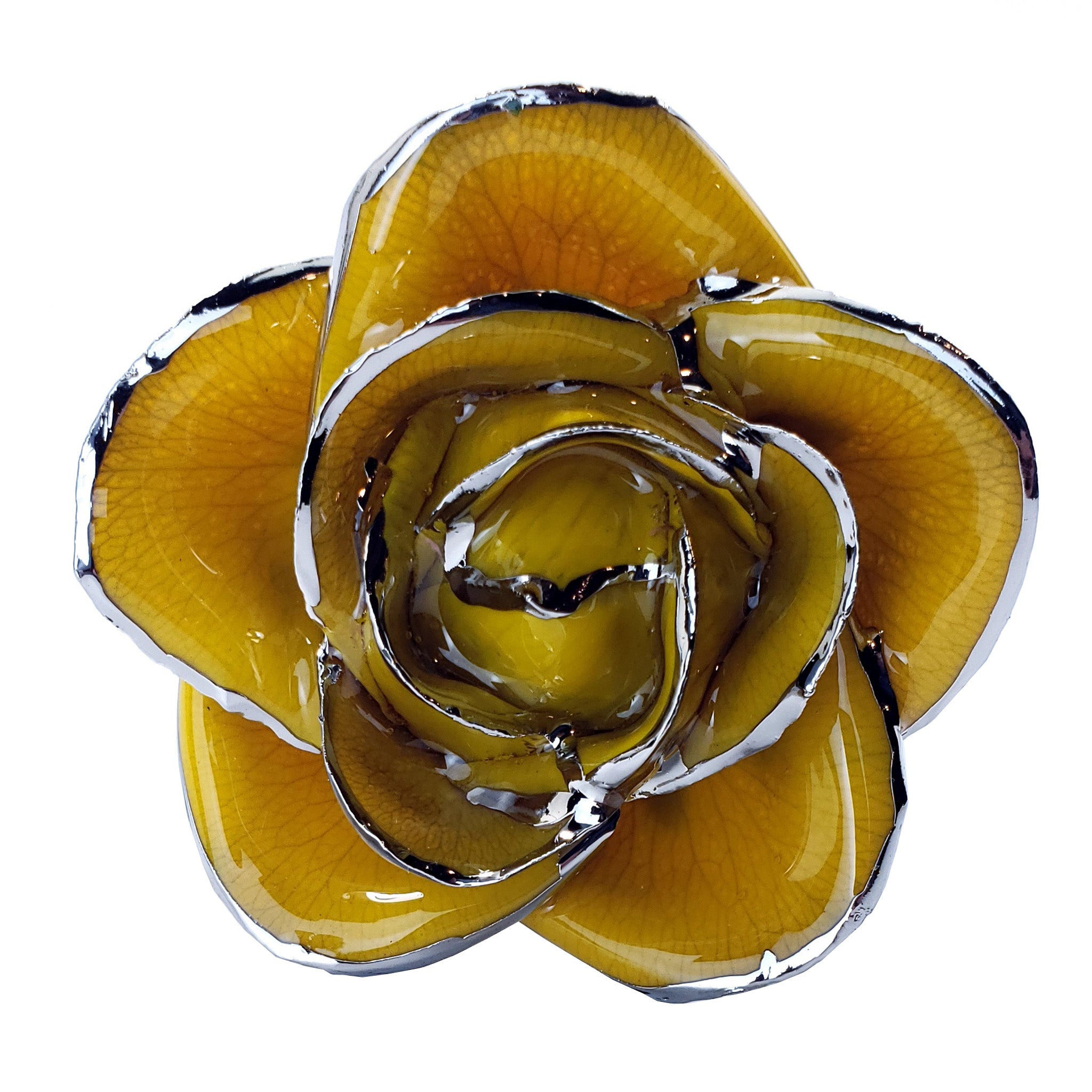 Platinum Forever Rose - Yellow