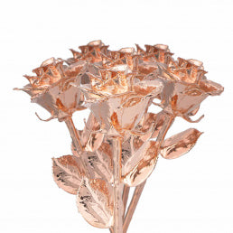 Rose Gold Dipped Roses: Half Dozen