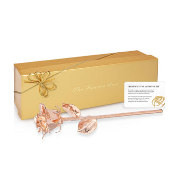 Rose Gold Dipped Forever Rose