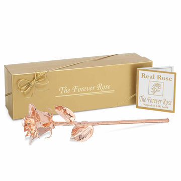 Rose Gold Dipped Forever Rose