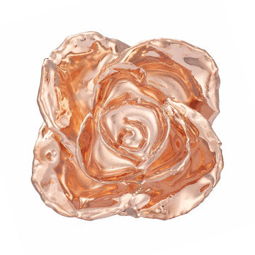Custom Enchanted Rose w/ Rose Gold Dipped Rose