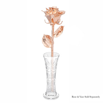 Rose Gold Dipped Forever Rose