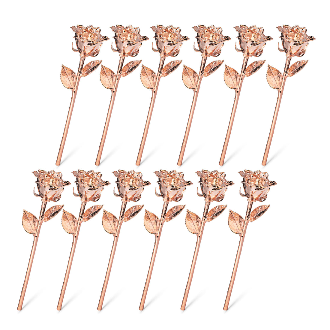 Rose Gold Dipped Roses: One Dozen