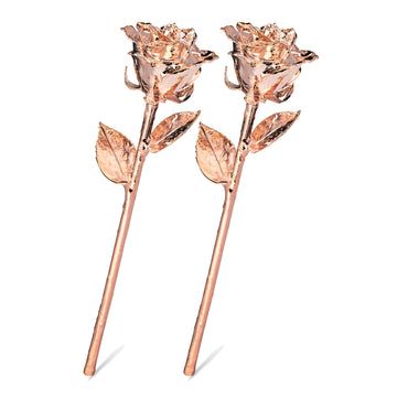 Rose Gold Dipped Roses: Combo Deal
