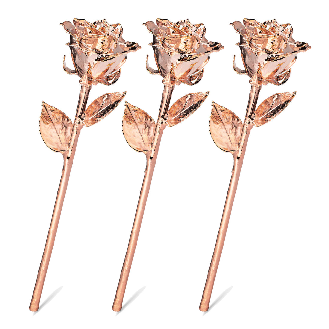Rose Gold Dipped Roses: Triple Deal