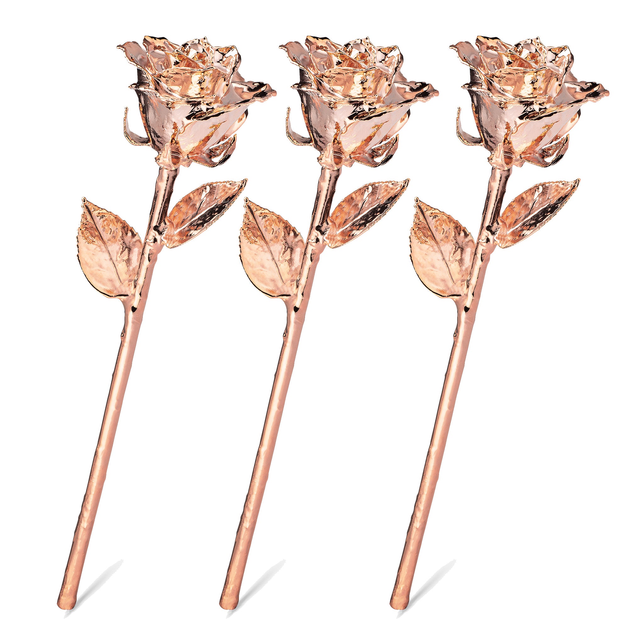 Rose Gold Dipped Roses: Triple Deal - The Forever Rose