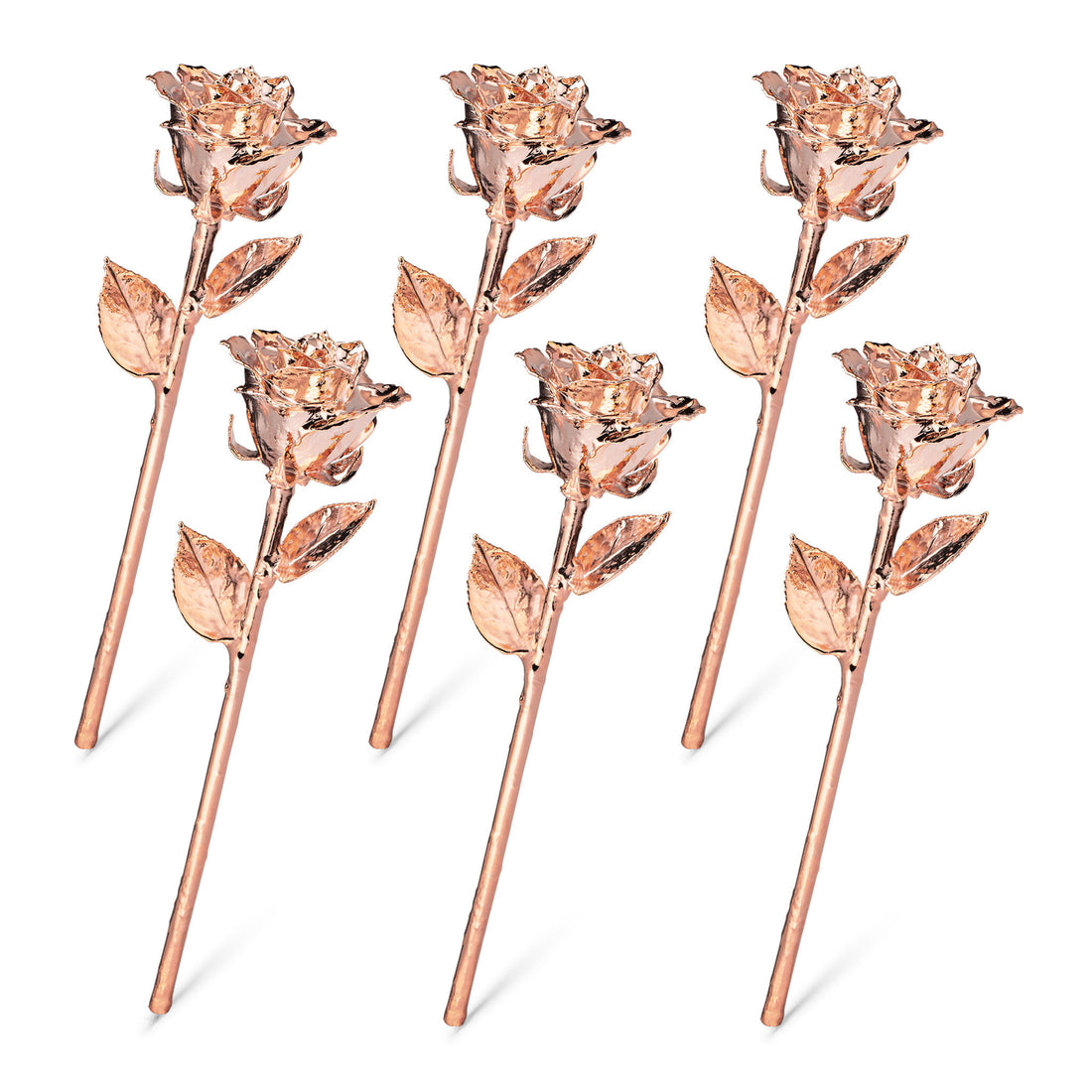 Rose Gold Dipped Roses: Half Dozen