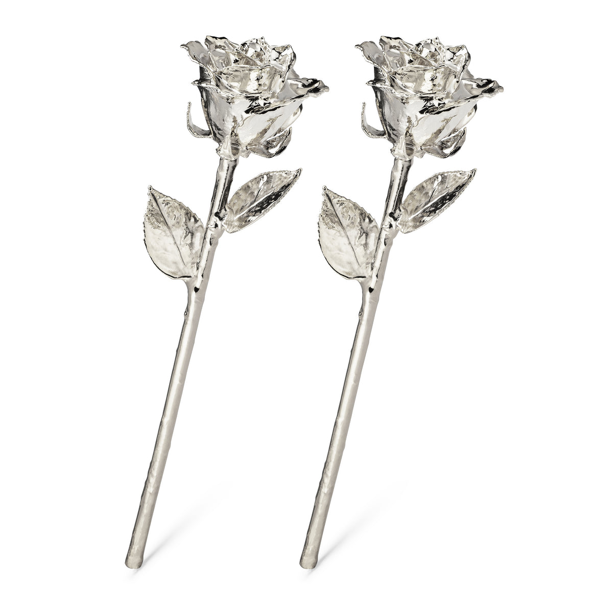 Silver Dipped Roses: Combo Deal