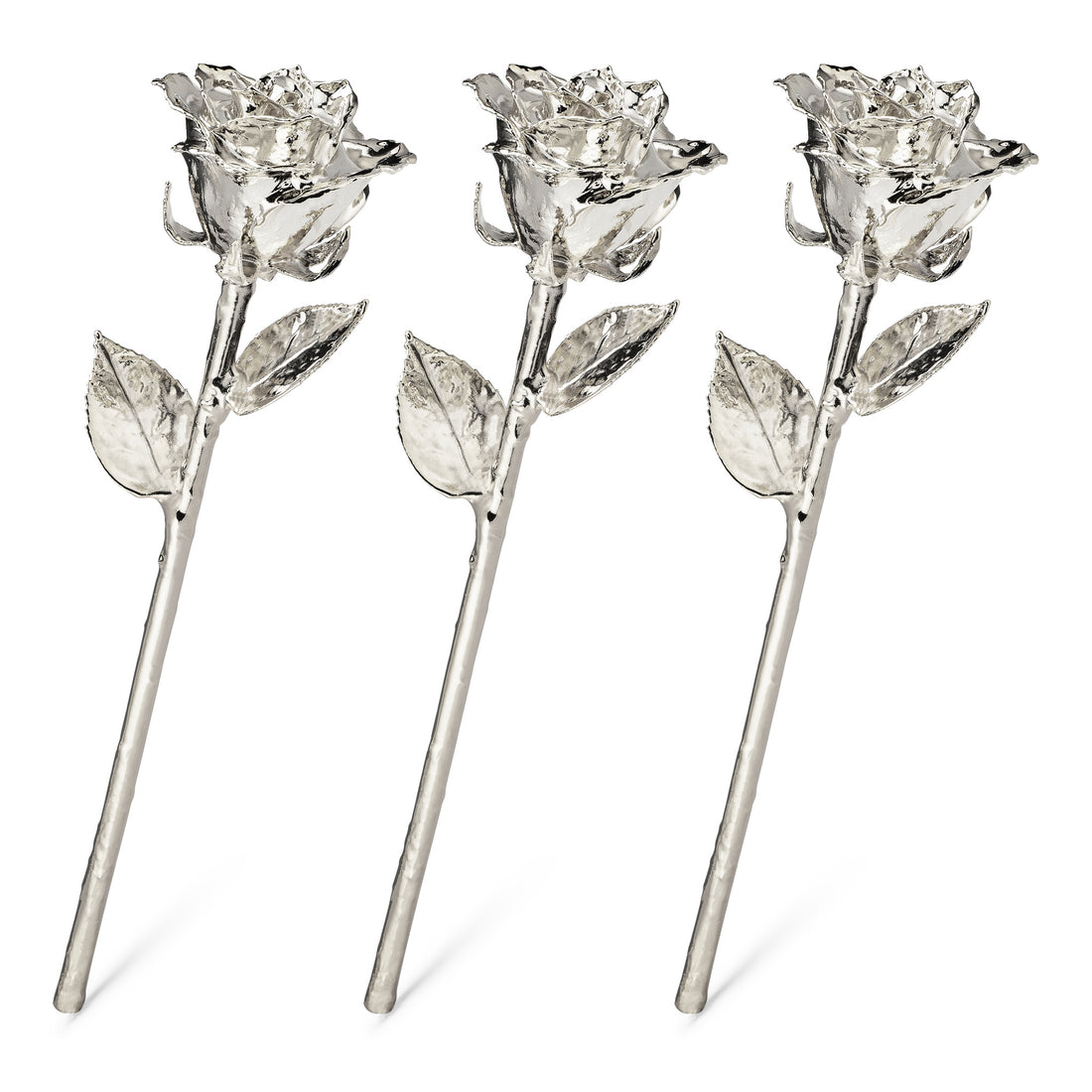 Silver Dipped Roses: Triple Deal