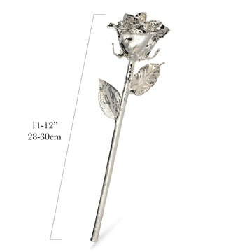 Silver Dipped Forever Rose