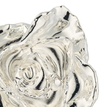 Silver Dipped Roses: Half Dozen