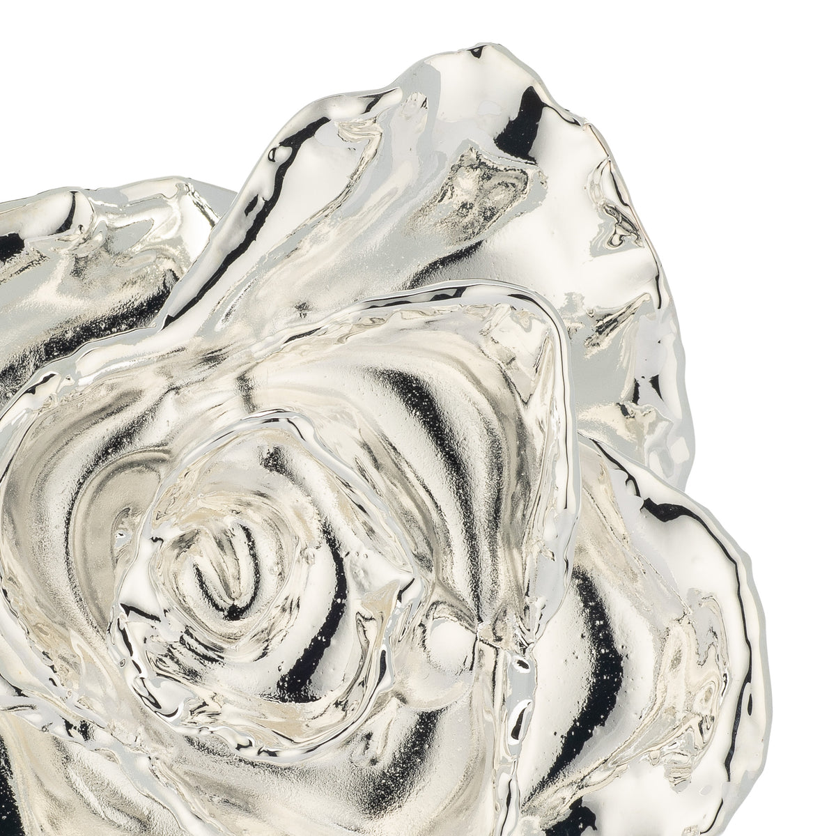 Silver Dipped Roses: Combo Deal
