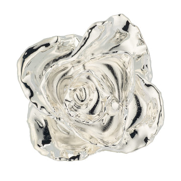Forever Rose Bloom Box & Phantom Vase™ Combo (Silver)