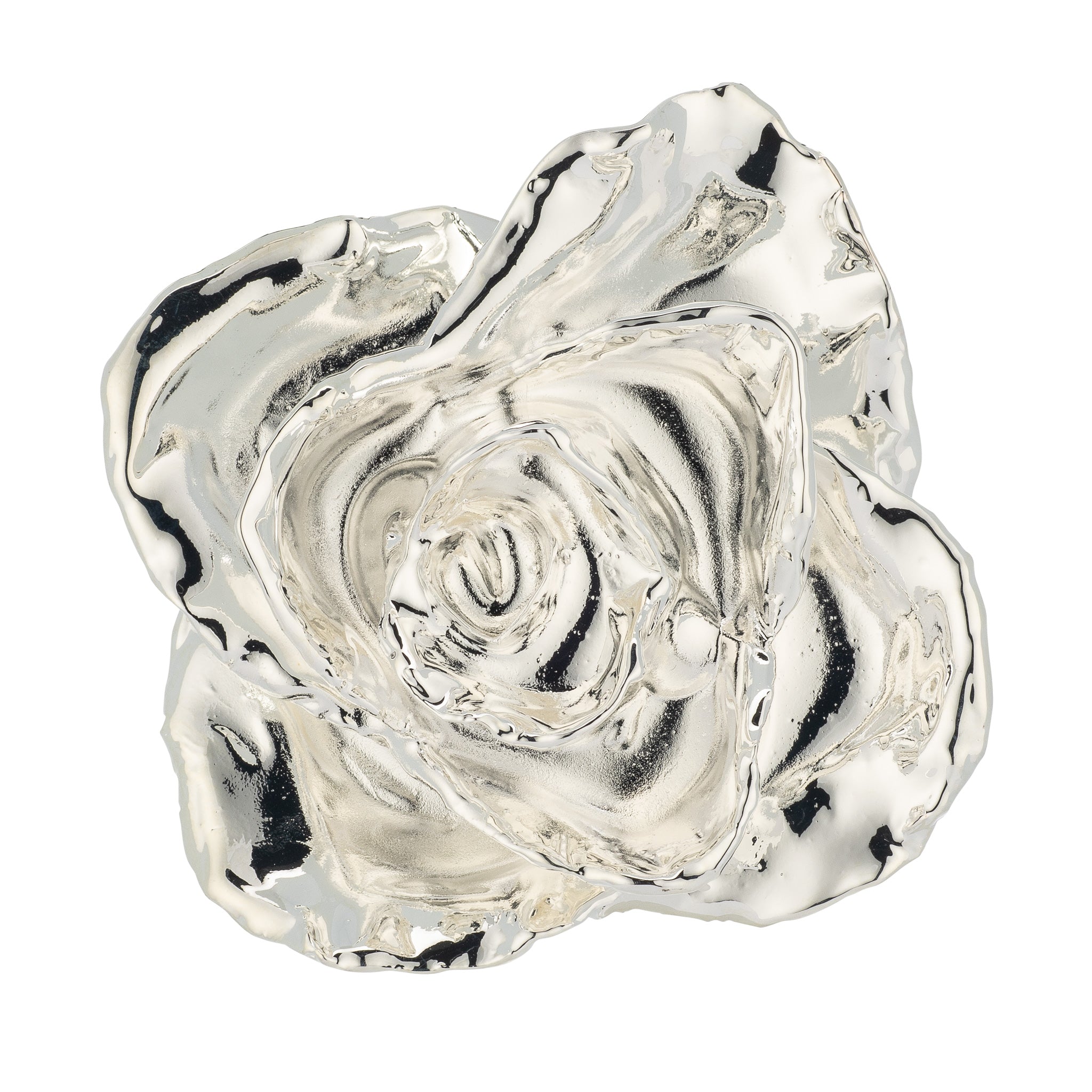 Forever Rose Leather Display Case Combo (Silver)