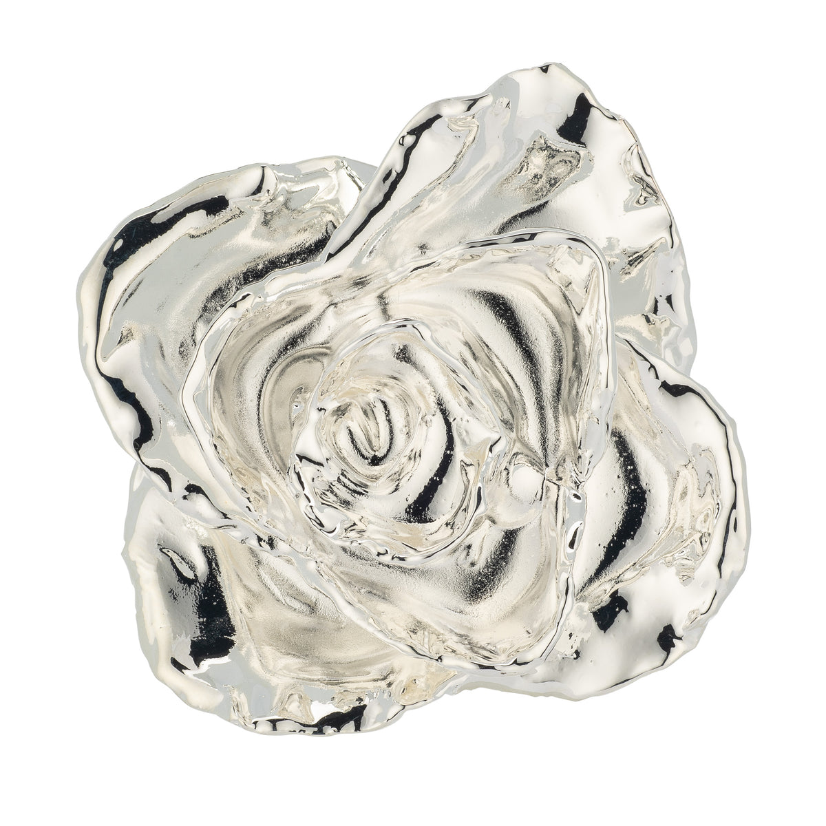 Custom Enchanted Rose w/ Silver Dipped Rose