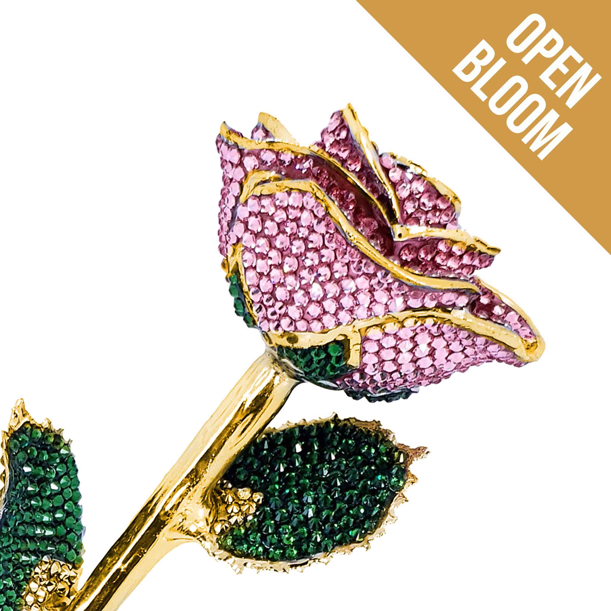 Custom 24K Gold Trim Pink (Open Bloom) Forever Rose with Swarovski¨ Crystals (Solid Color) (Made to Order)