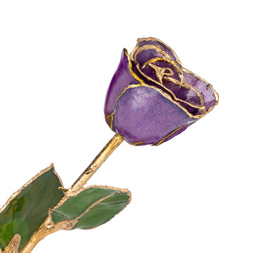 24K Gold Trimmed Forever Rose with Amethyst (purple color) with sparkles suspended in the finish. View of Stem, Leaves, and Rose Petals and Showing Detail of Gold