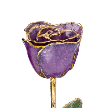 24K Gold Trimmed Forever Rose with Amethyst (purple color) with sparkles suspended in the finish. View of Stem, Leaves, and Rose Petals and Showing Detail of Gold
