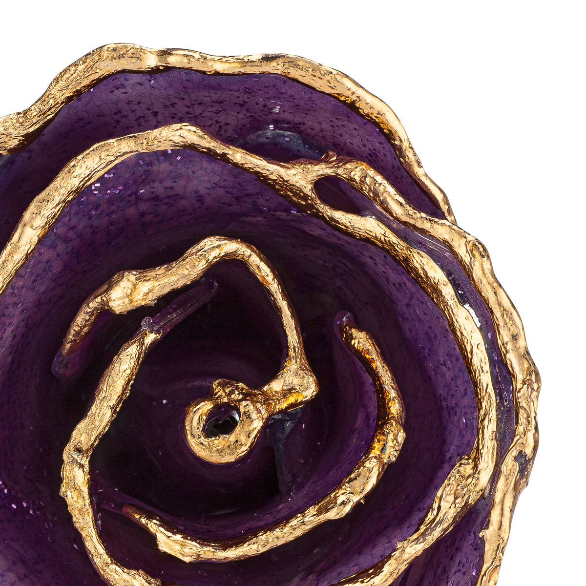24K Gold Trimmed Forever Rose with Amethyst (purple color) with sparkles suspended in the finish. View of Stem, Leaves, and Rose Petals and Showing Detail of Gold Zoomed in View from top