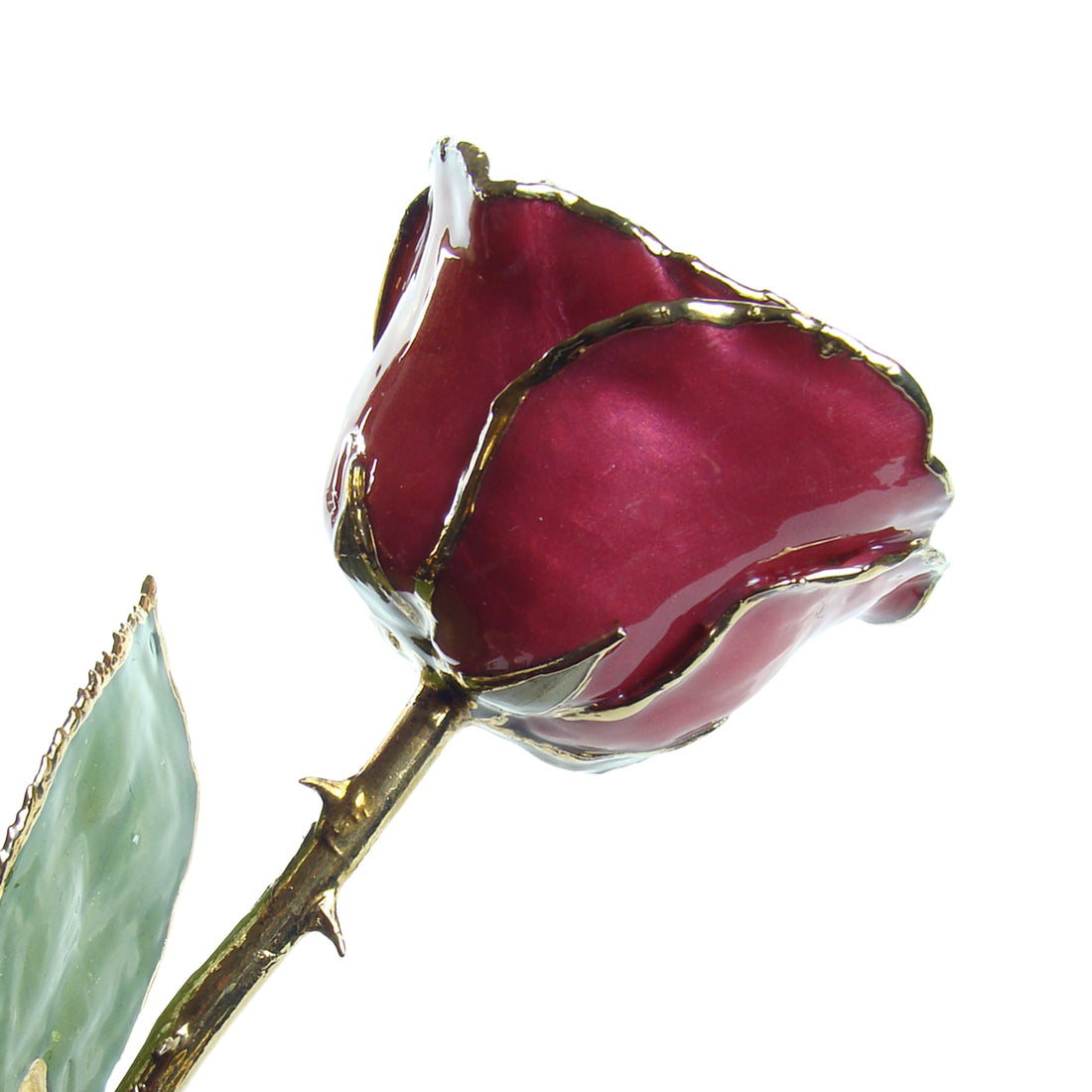 24K Gold Trimmed Forever Rose in Beating Hearts Color View of Stem, Leaves, and Rose Petals and Showing Detail of Gold Trim