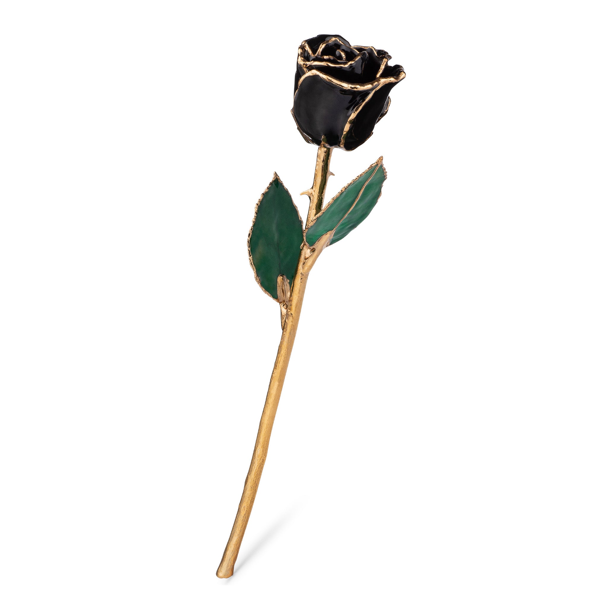 Our Heart Wedding Combo (24K Gold)