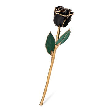 Our Heart Wedding Combo (24K Gold)
