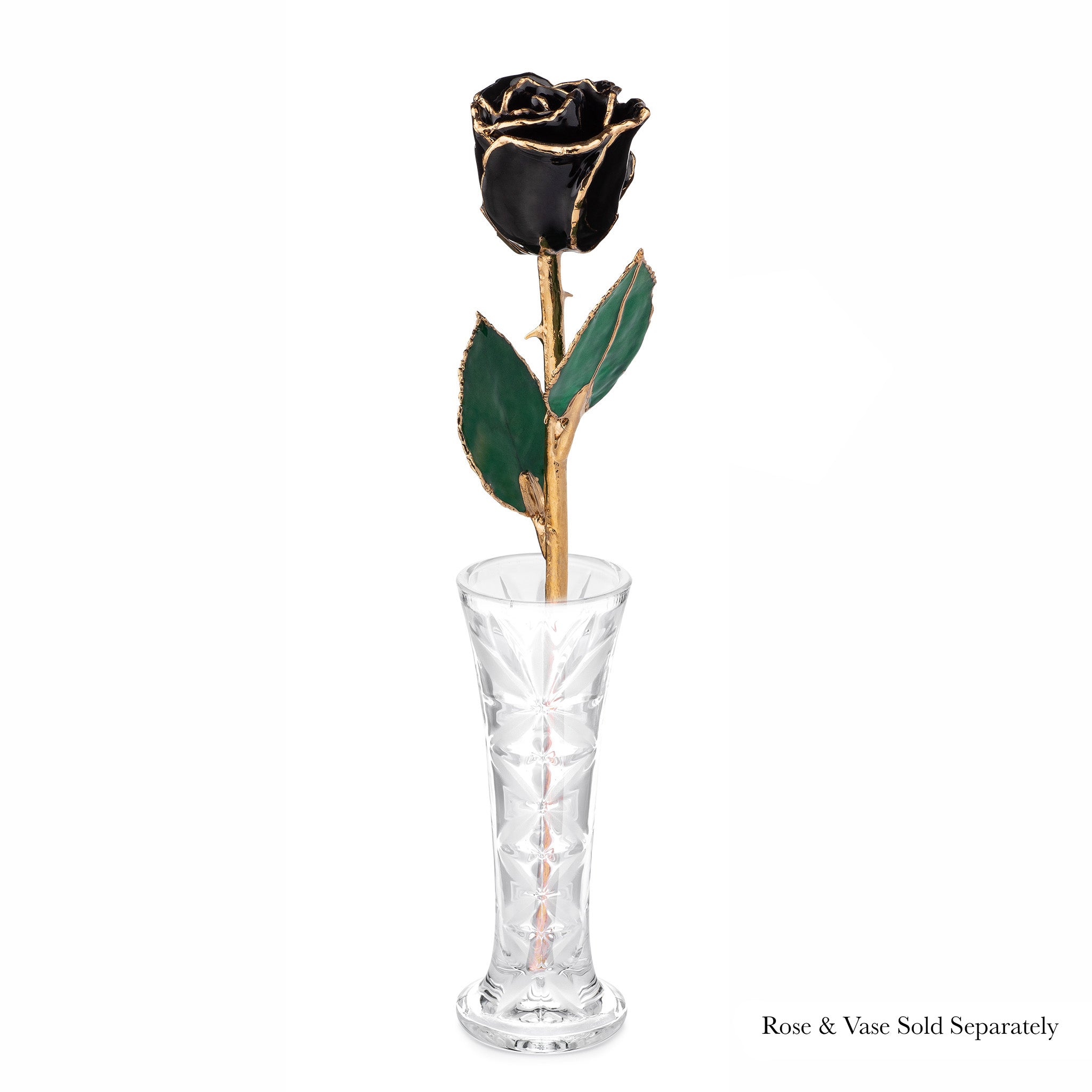24K Gold Forever Rose - Black