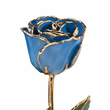 24K Gold Trimmed Forever Rose with Blue Petals with View of Stem, Leaves, and Rose Petals and Showing Detail of Gold Trim