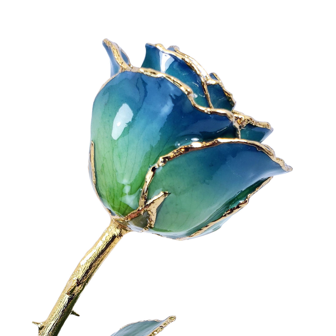 24K Gold Forever Rose - Blue Meadow