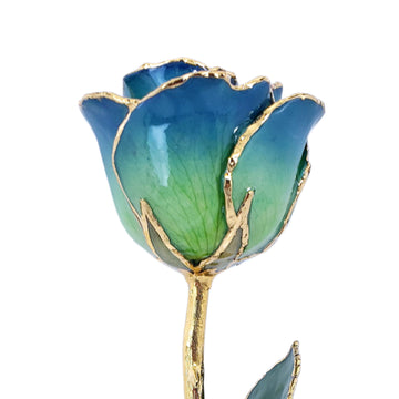 24K Gold Forever Rose - Blue Meadow