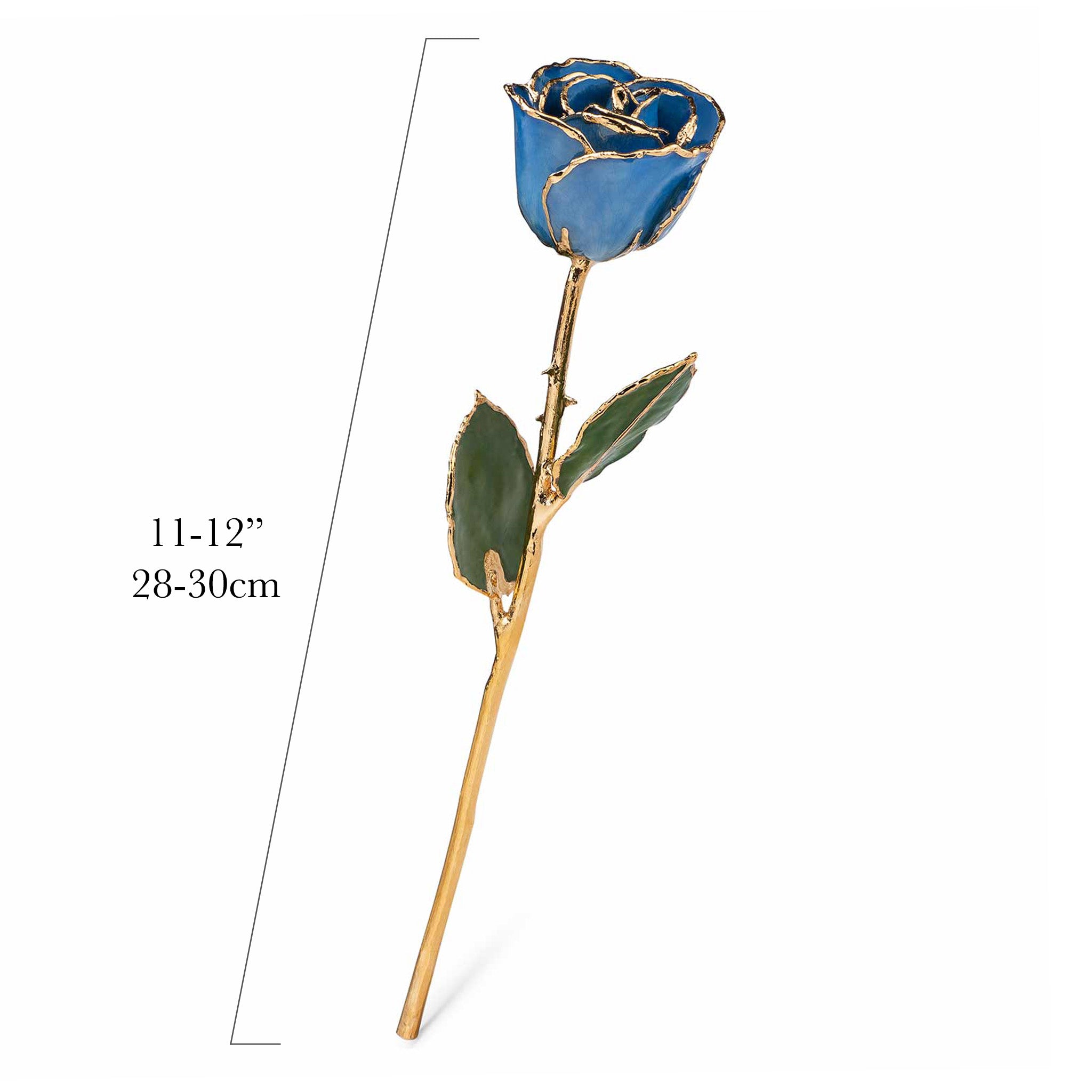 24K Gold Forever Rose - Forever Blue - The Forever Rose