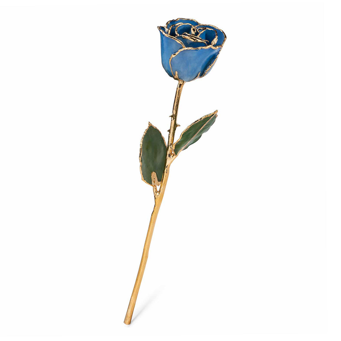 24K Gold Trimmed Forever Rose with Blue Petals with View of Stem, Leaves, and Rose Petals and Showing Detail of Gold Trim