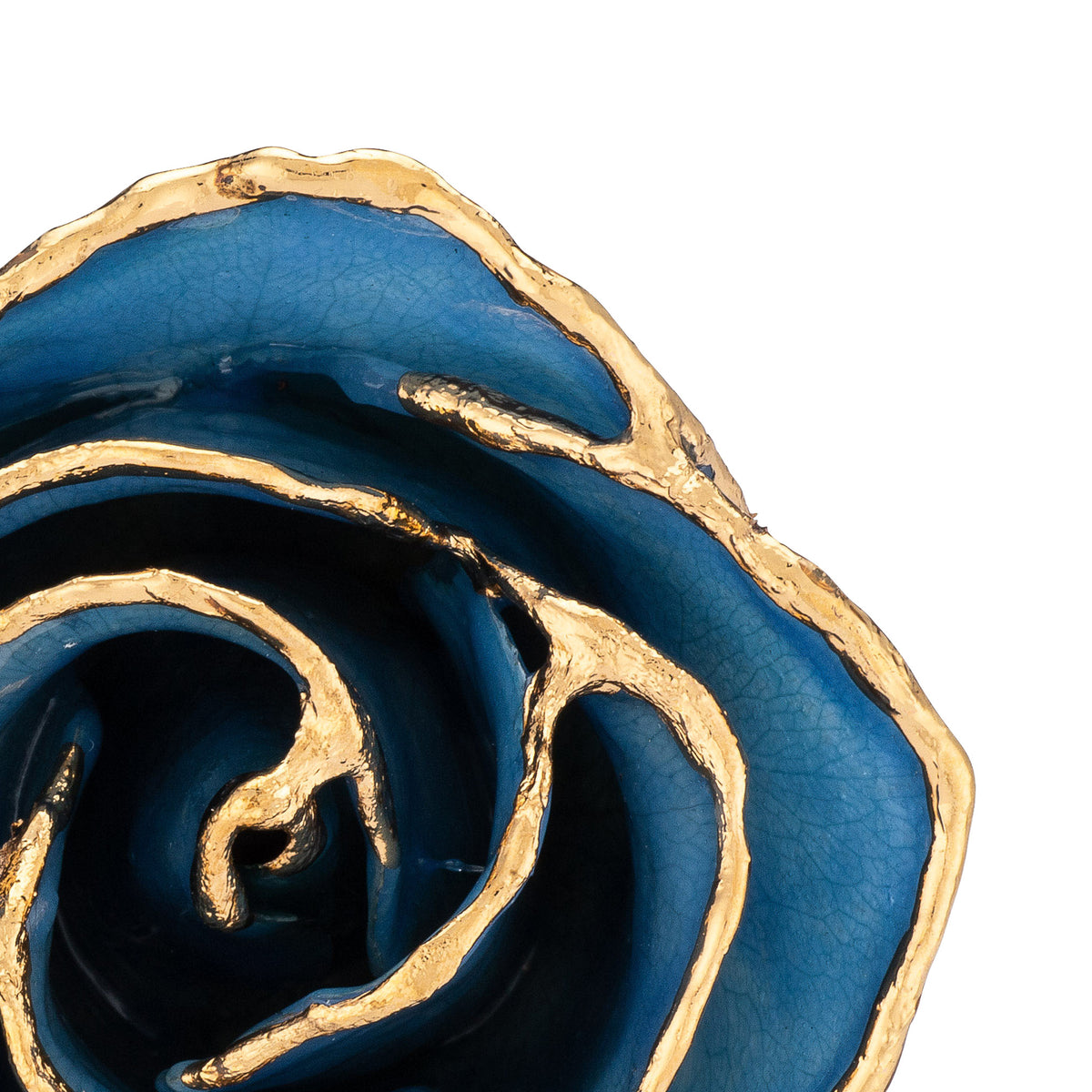 24K Gold Trimmed Forever Rose with Blue Petals with Zoom View of Rose Petals and Showing Detail of Gold Trim