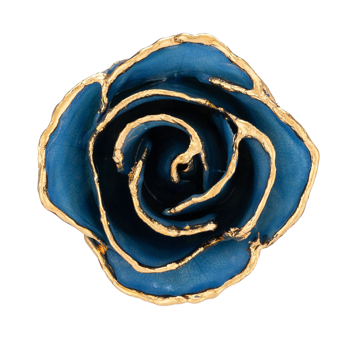 24K Gold Trimmed Forever Rose with Blue Petals  and Showing Detail of Gold Trim