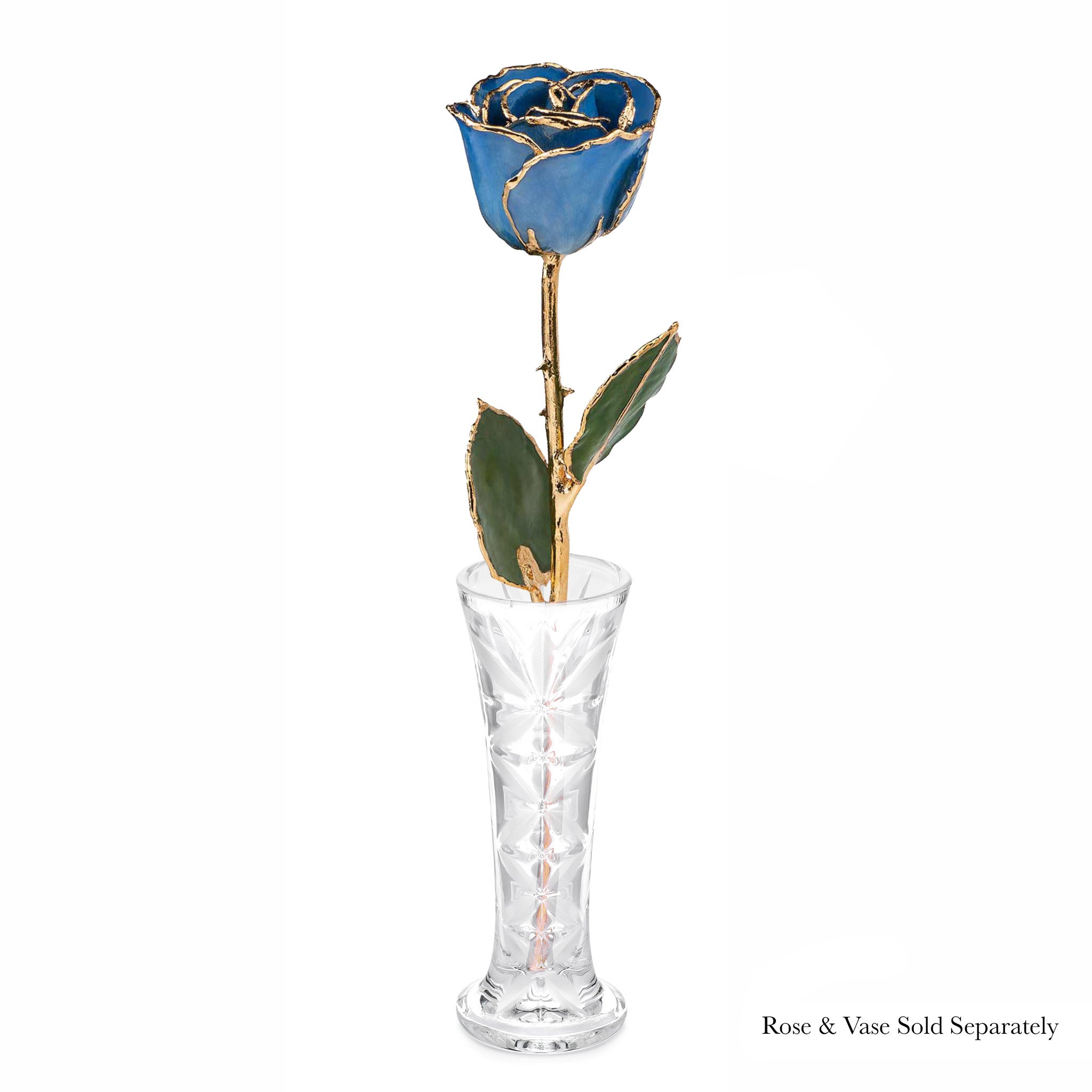 24K Gold Forever Rose - Forever Blue