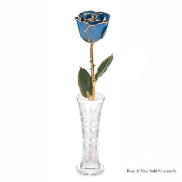 24K Gold Forever Rose - Forever Blue