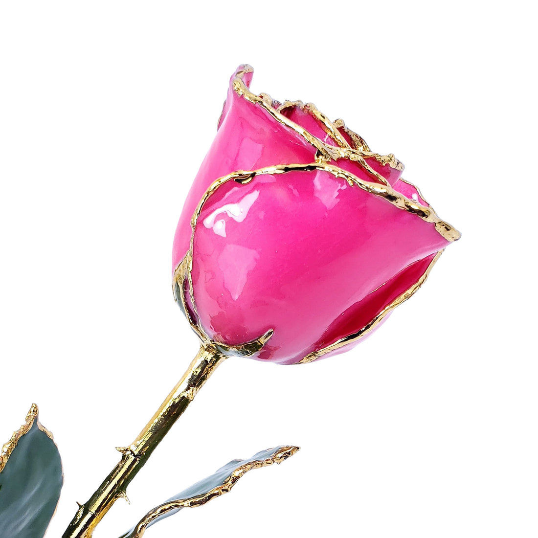 24K Gold Forever Rose - Bright Pink