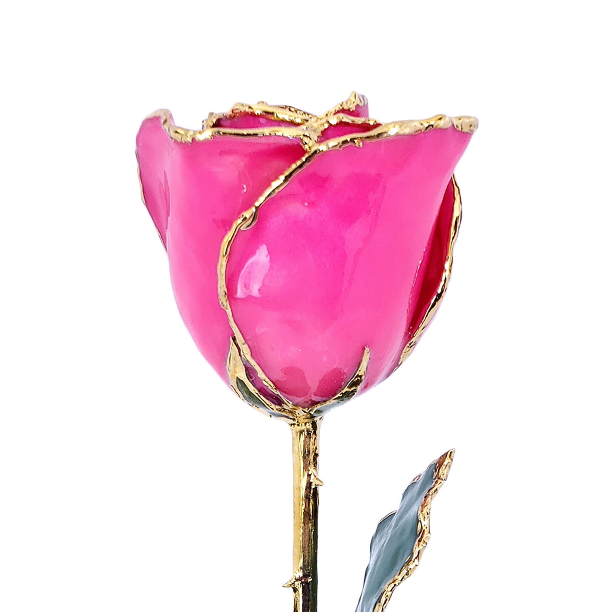 24K Gold Forever Rose - Bright Pink