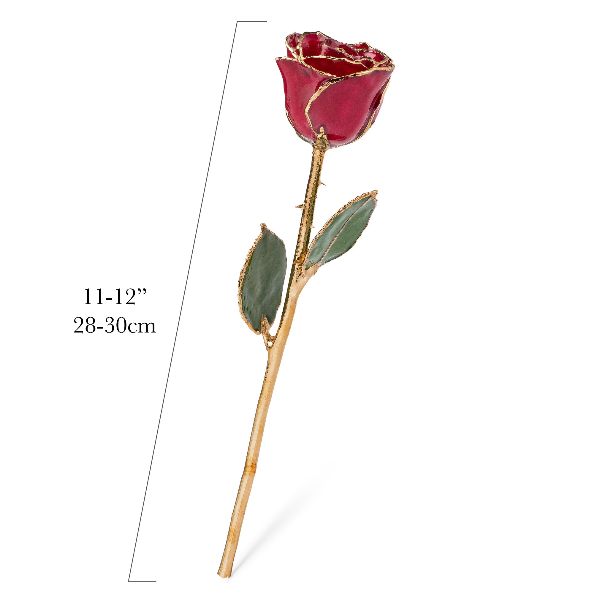 24K Gold Trimmed Forever Rose with Deep Red Burgundy Petals with View of Stem, Leaves, and Rose Petals and Showing Detail of Gold Trim