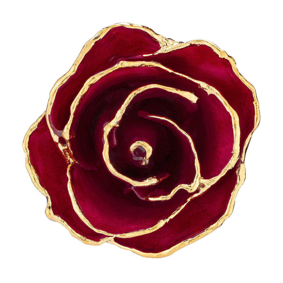 24K Gold Trimmed Forever Rose with Deep Red Burgundy Petals with View of Stem, Leaves, and Rose Petals and Showing Detail of Gold Trim Top View