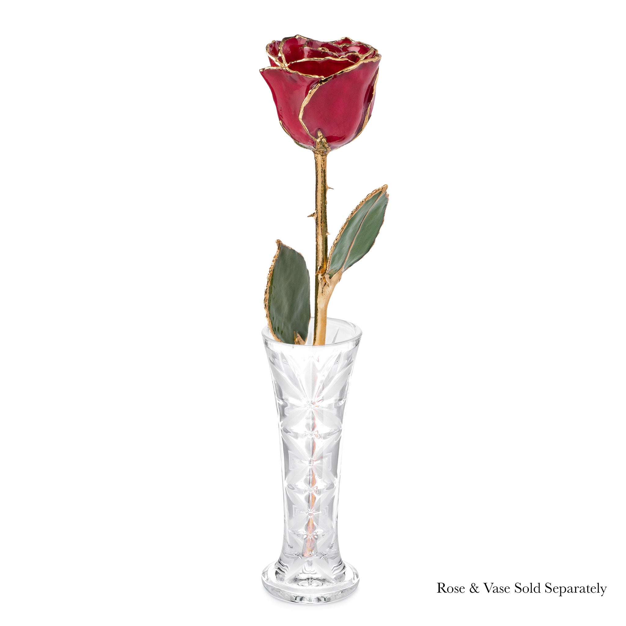 24K Gold Forever Rose - Deep Red (Burgundy)