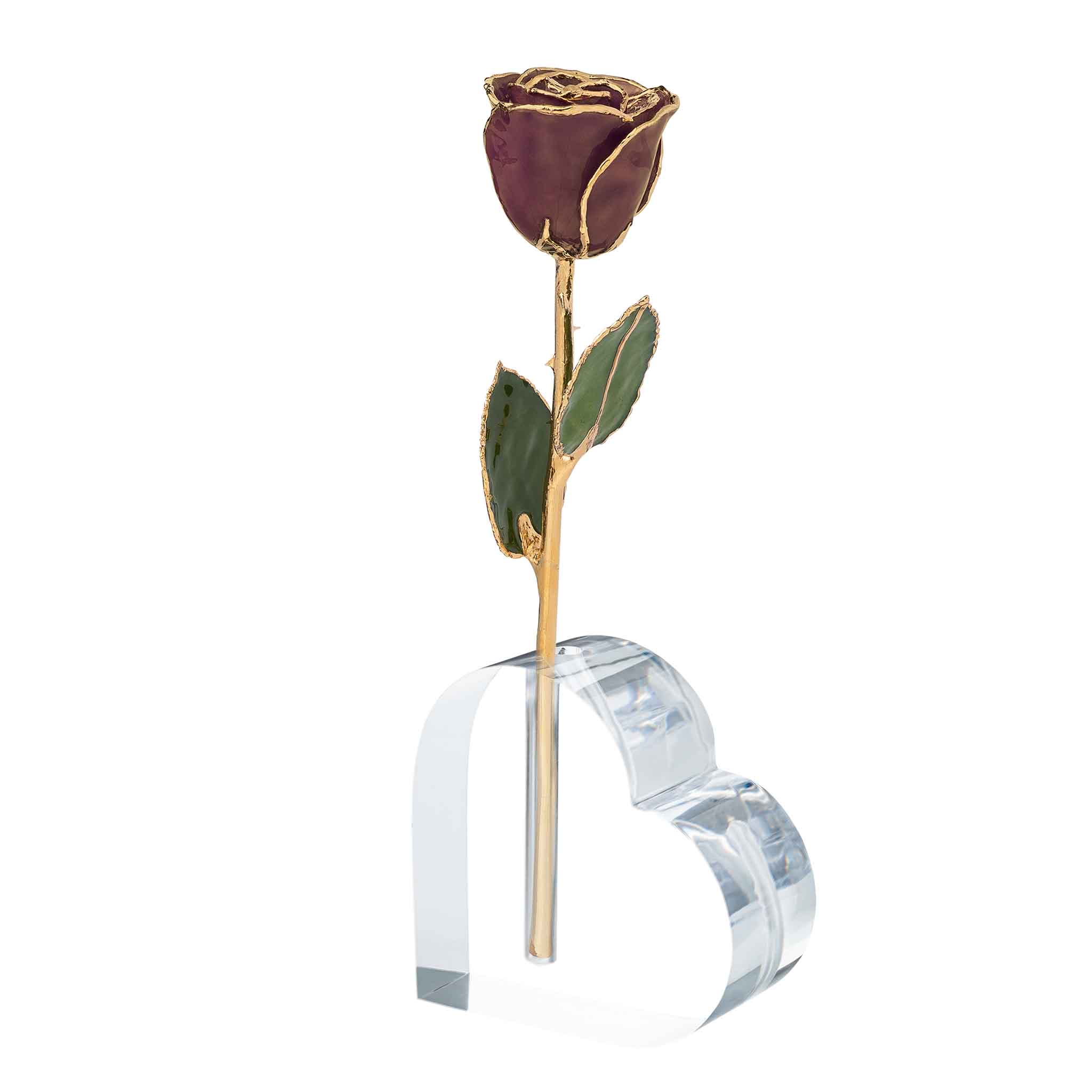 24K Gold Forever Rose - Chocolate