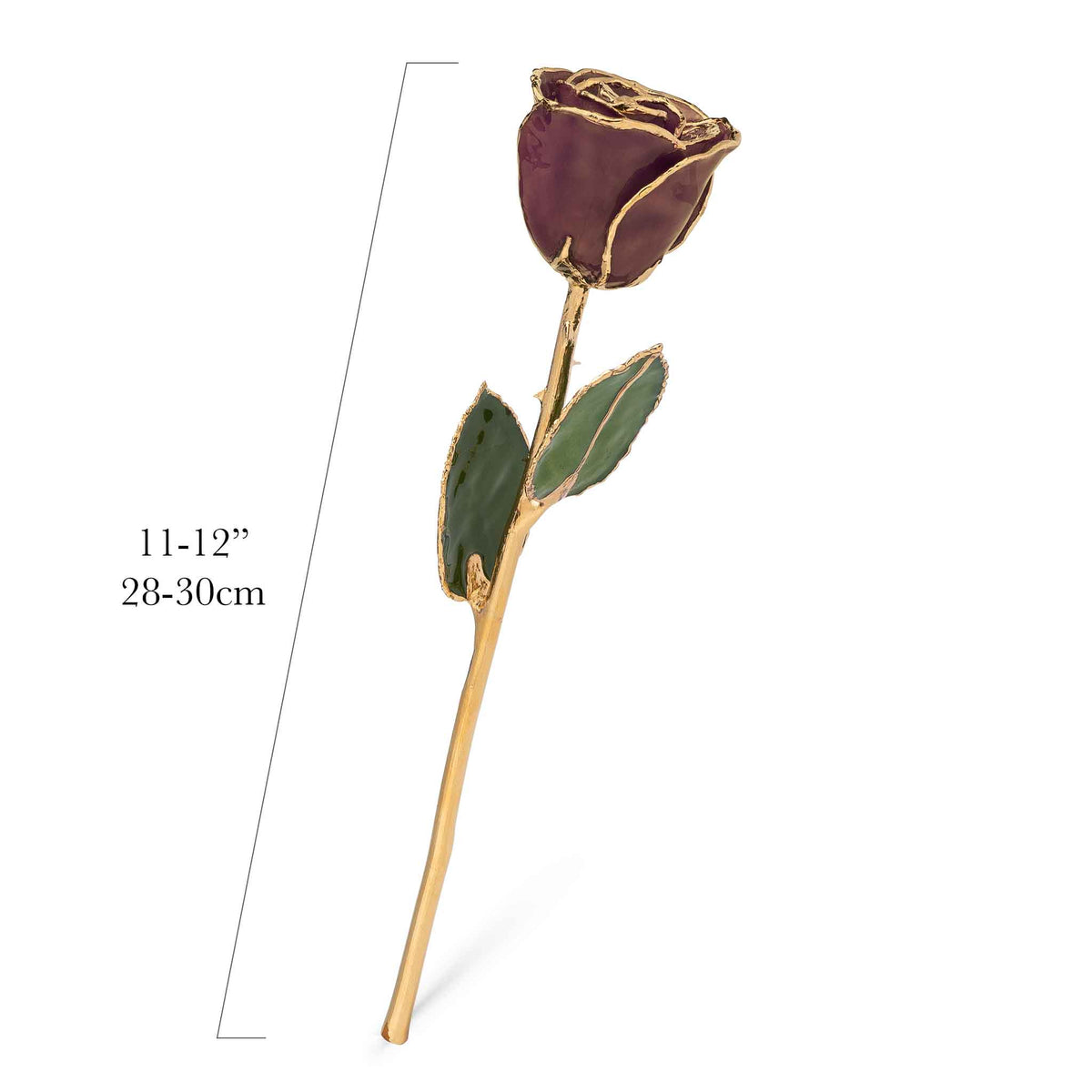 24K Gold Forever Rose - Chocolate