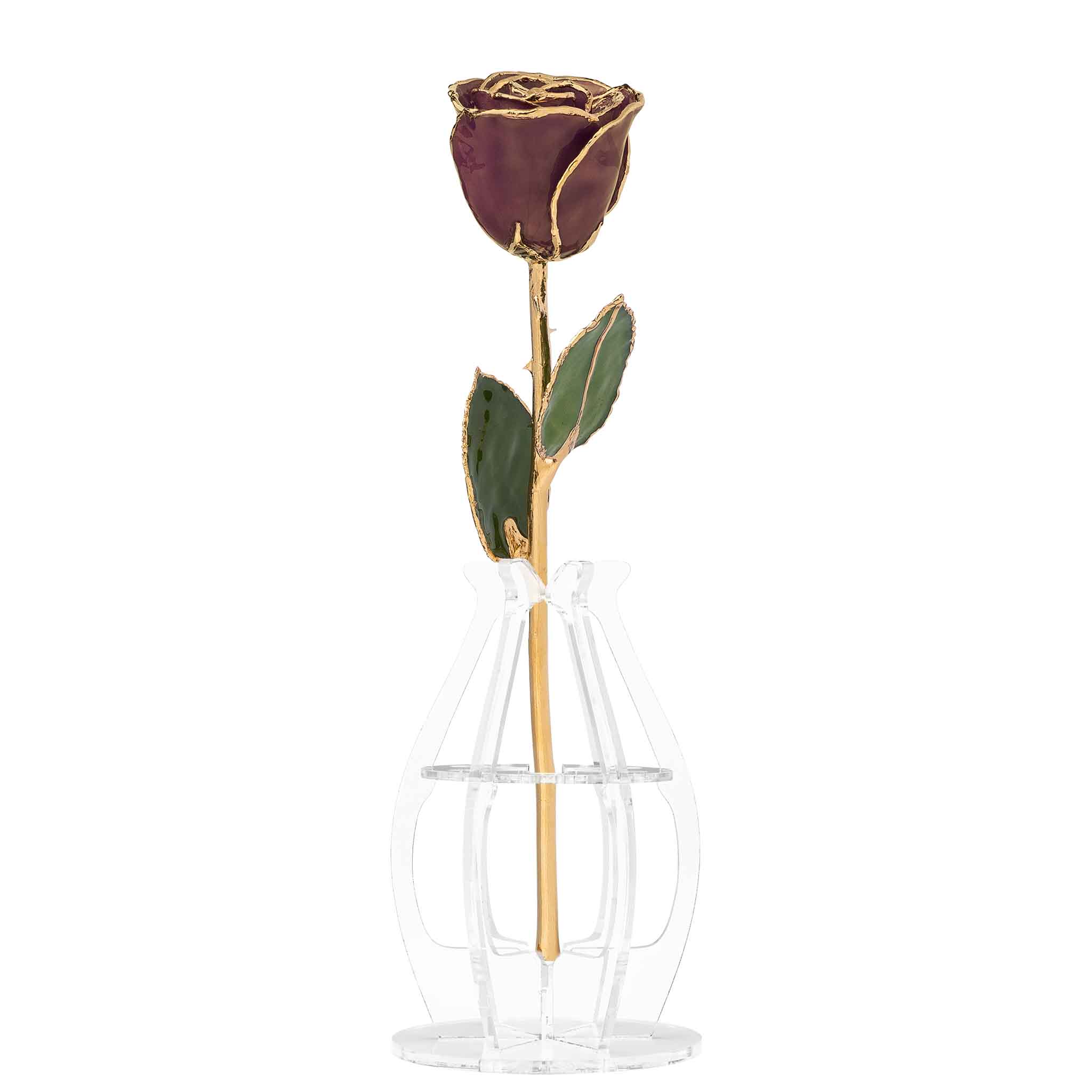 24K Gold Forever Rose - Chocolate