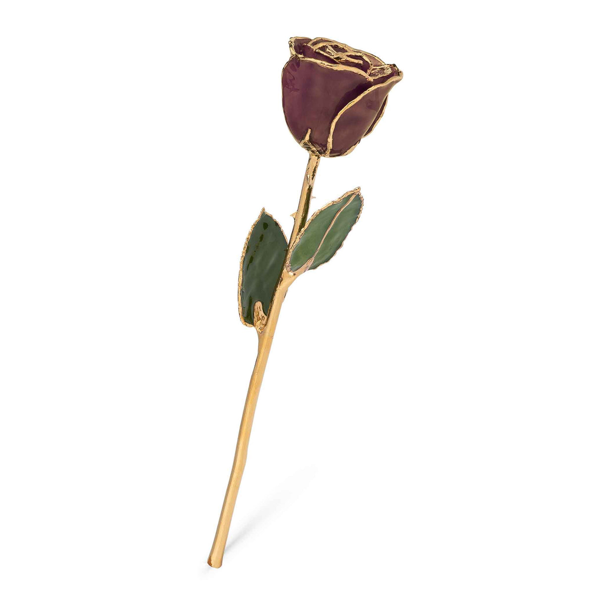 24K Gold Forever Rose - Chocolate