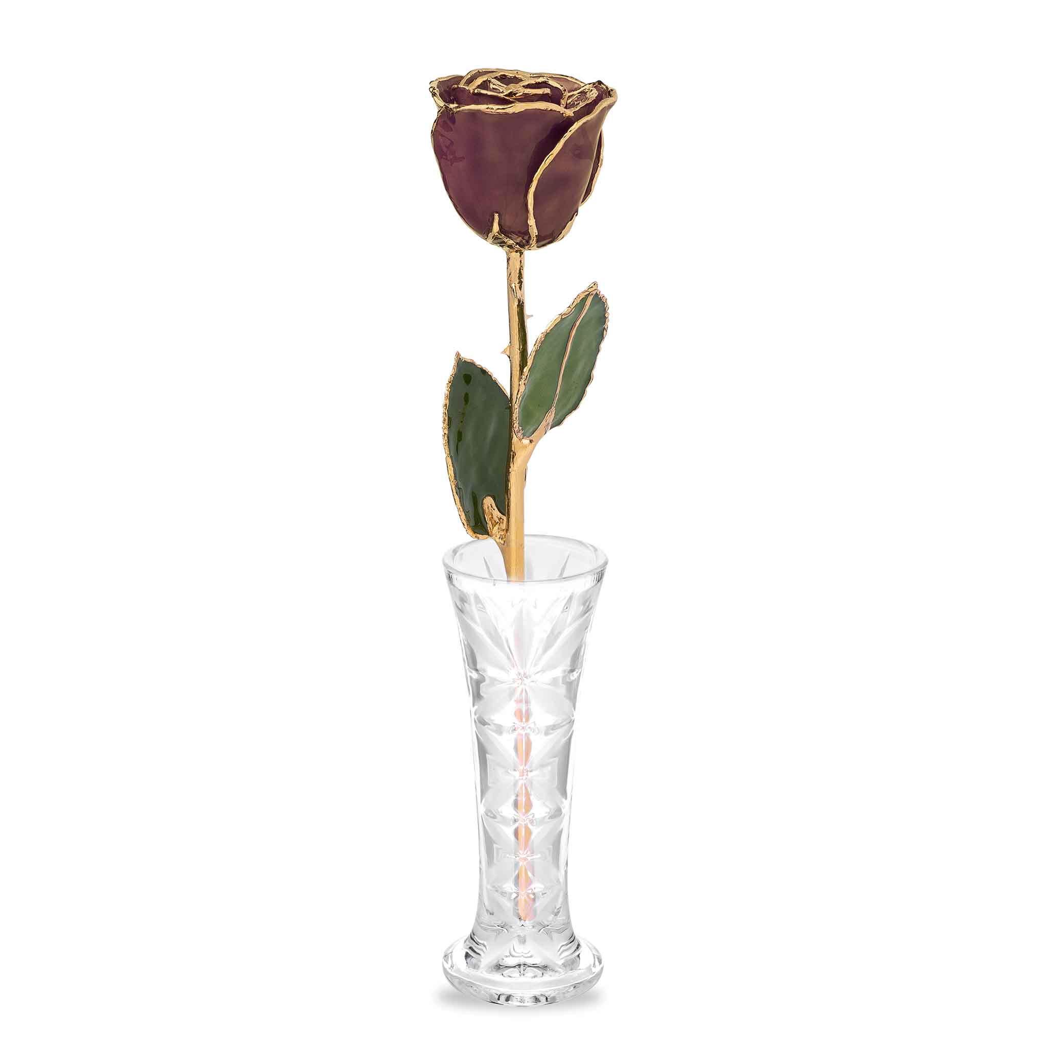 24K Gold Forever Rose - Chocolate
