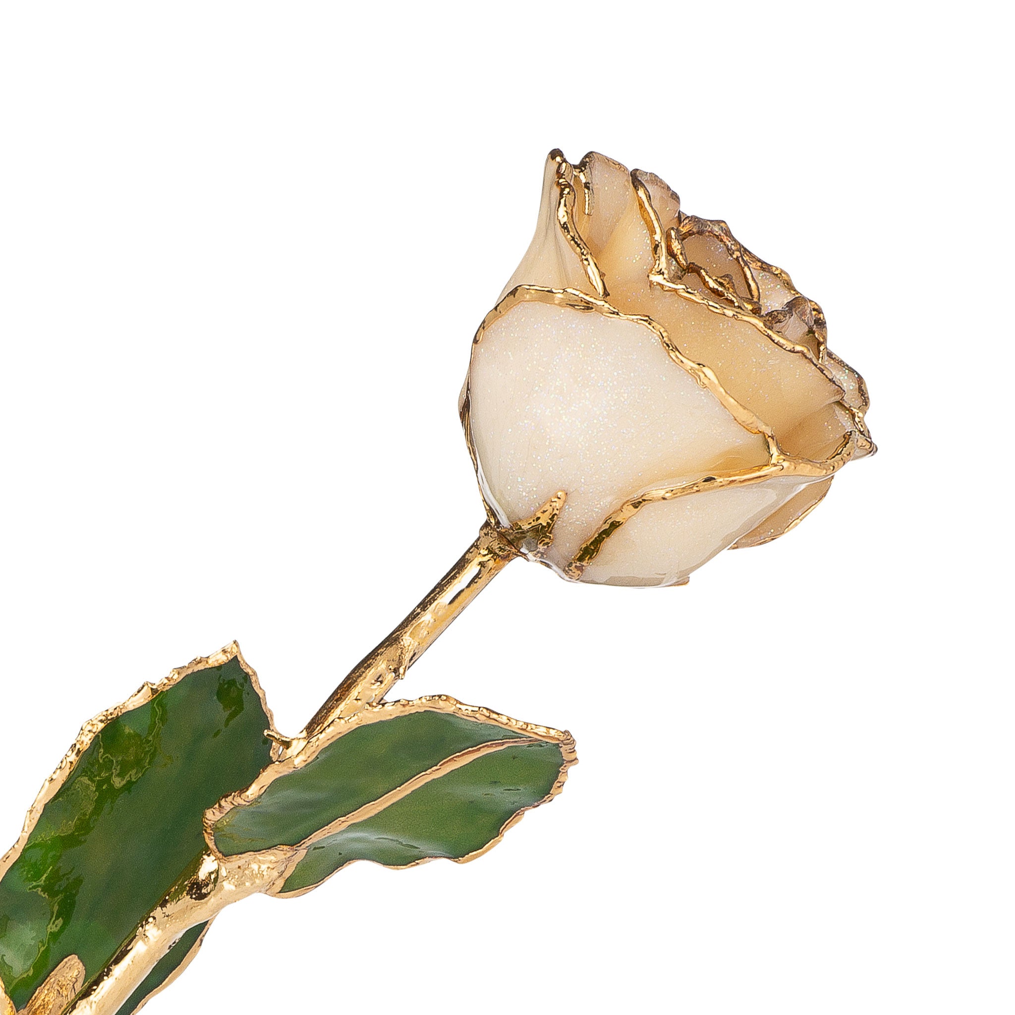 24K Gold Trimmed Forever Rose with Diamond Petals with Sparkles. View of Stem, Leaves, and Rose Petals and Showing Detail of Gold Trim